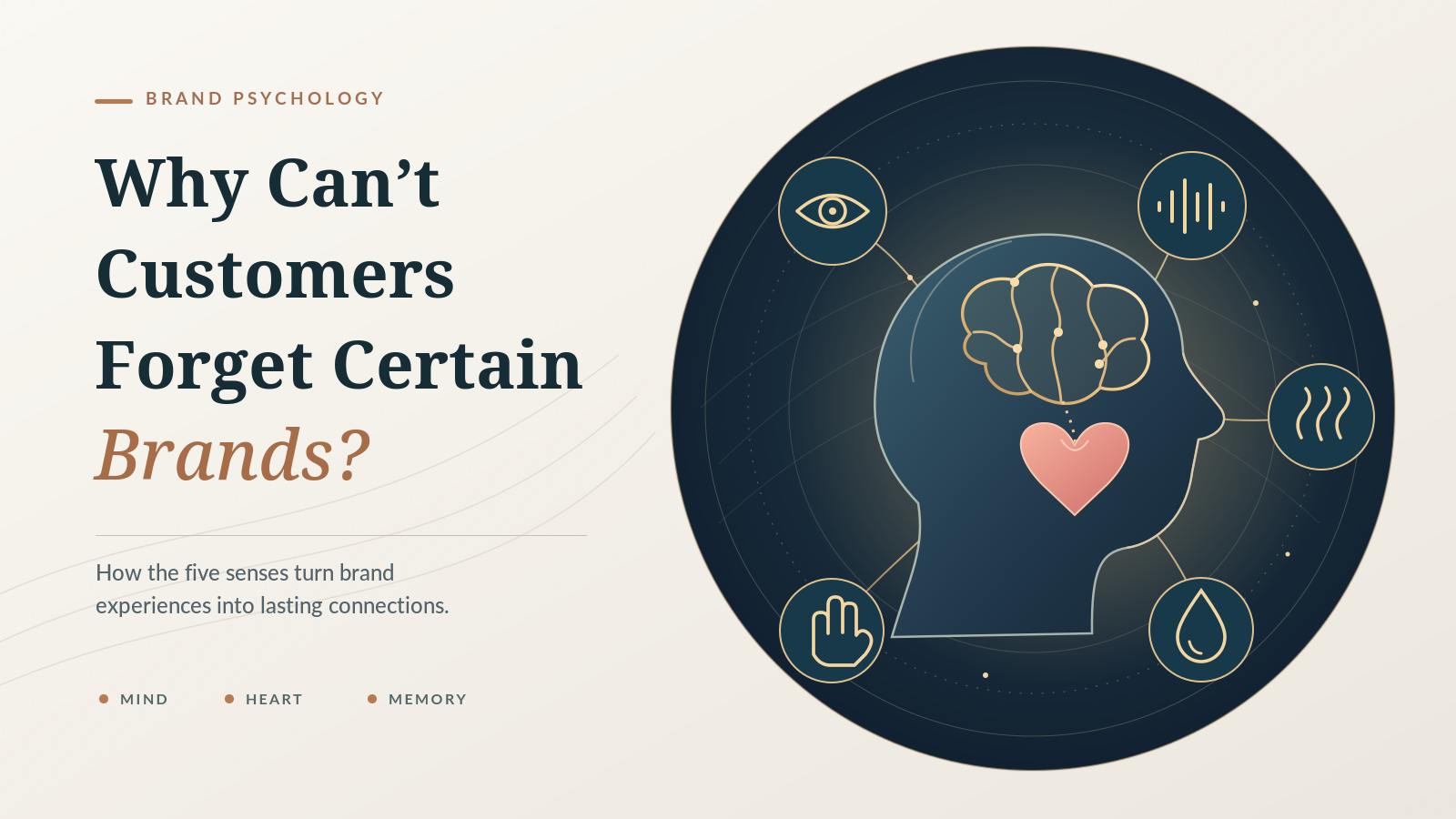 Illustration of a human head with a brain and heart, surrounded by symbols of the five senses, showing how sensory experiences build brand memories and emotional connections.